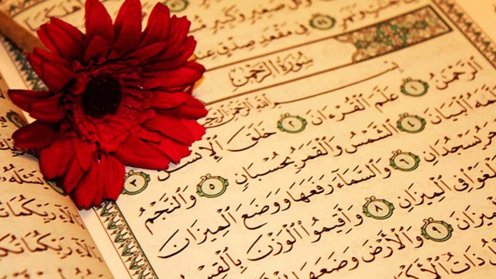 Benefits of Surah al Rahman