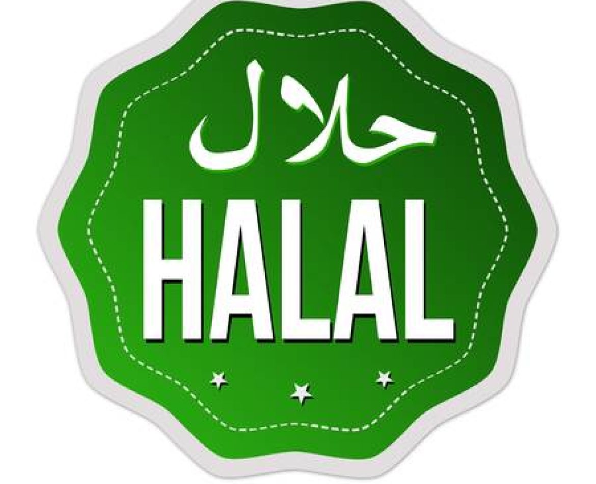 What does halal mean in Islam